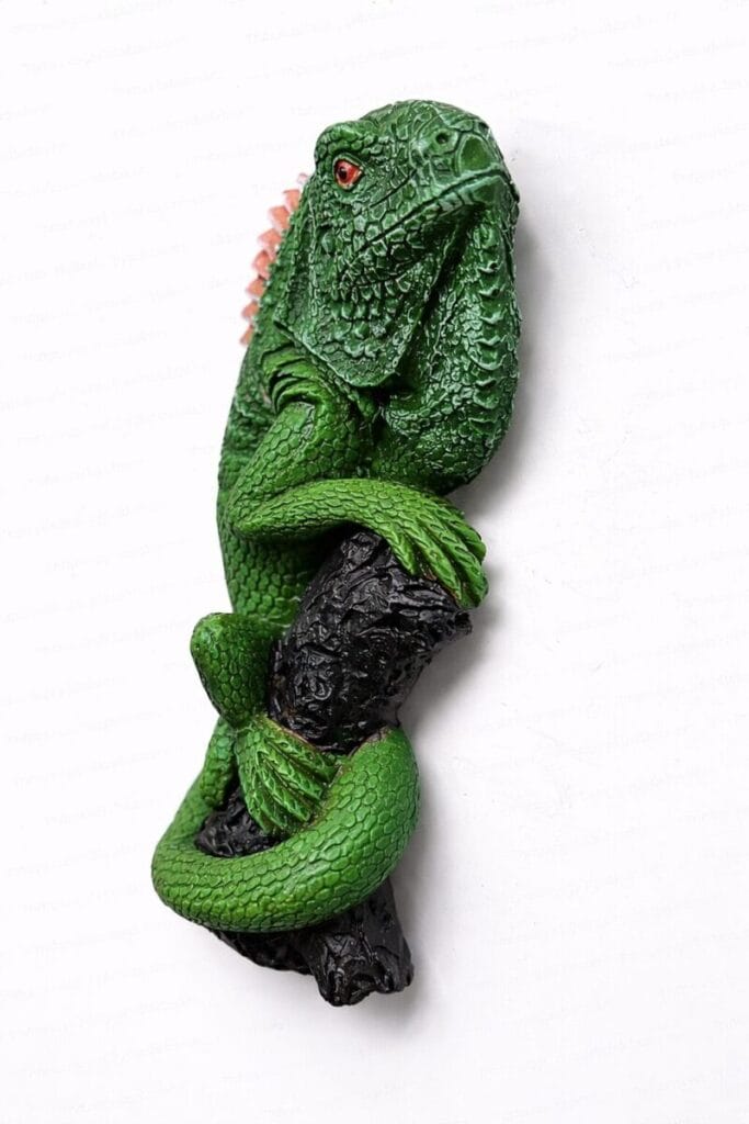 Green Iguana Fridge Magnet