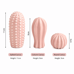 Pink Cactus Ornament Set