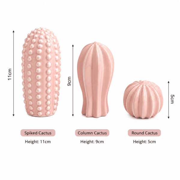 Pink Cactus Ornament Set