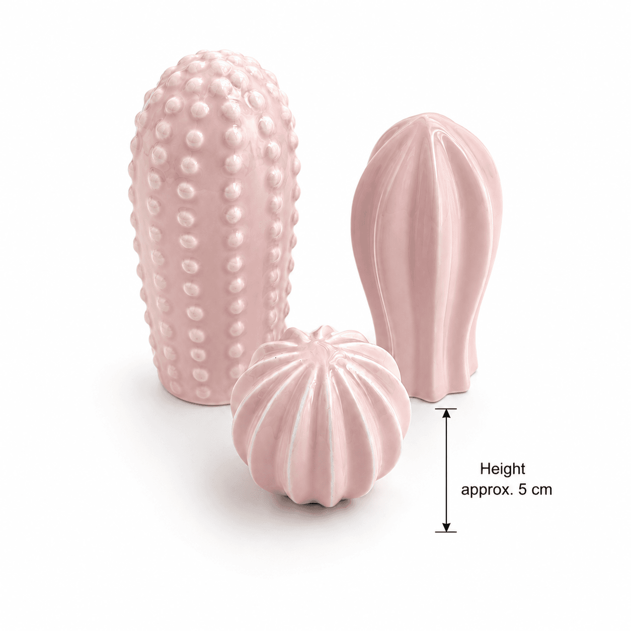 Pink Cactus Ornament Set Pink Cactus Ornament Set